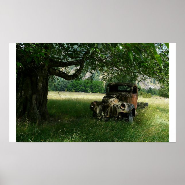 Auf Weide aussetzen Poster (Vorne)