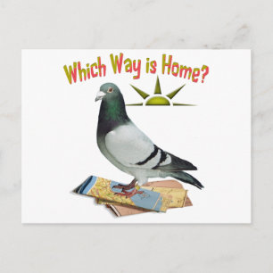 Auf welche Weise ist Zuhause? Pigeon Art Postkarte