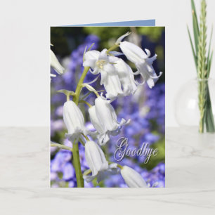 Auf Wiedersehen, Beileidskarte Karte