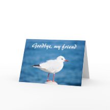 Auf Wiedersehen Möve Sayonara Auf Wiedersehen