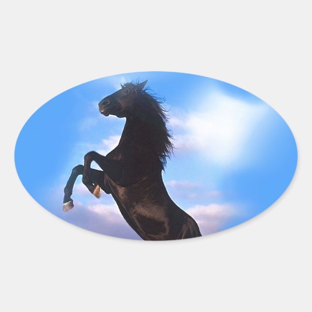 Aufbäumendes Pferd Ovaler Aufkleber (Vorderseite)