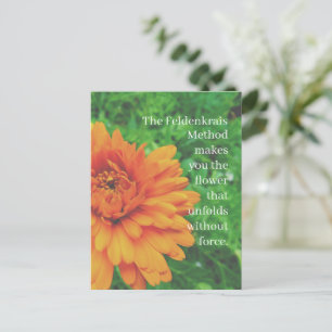 Aufblühen mit der Feldenkrais-Methode - Postkarte