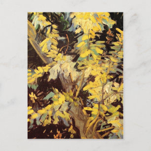Aufblühende Akazienzweige, Vincent van Gogh Postkarte