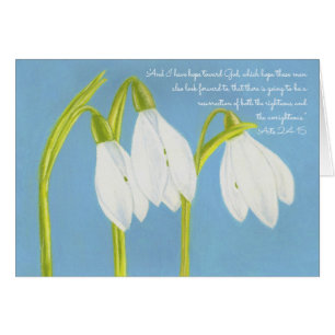 Auferstehungs-Hoffnungs-Schrift