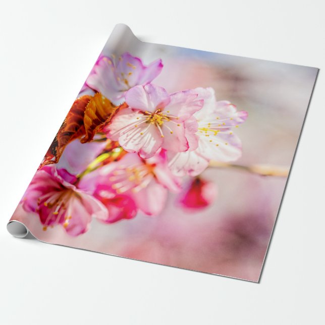 Auffallende Blume aus rosa Sakura Geschenkpapier (Ungerollt)