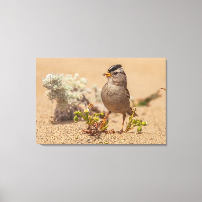 Auffallende Pose Leinwanddruck (Vorderseite)