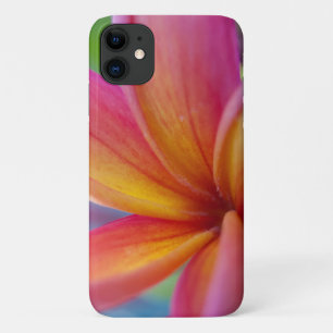 Auffallende tropische Plumeria-Blume Case-Mate iPhone Hülle