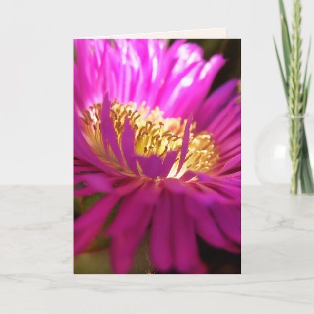 Auffinden des Lichts - Makrofotografie-Karte Karte (Vorderseite)