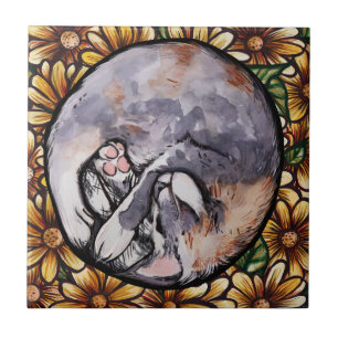 Aufgeknallte, dünne Calico Kitty Cat Fliese