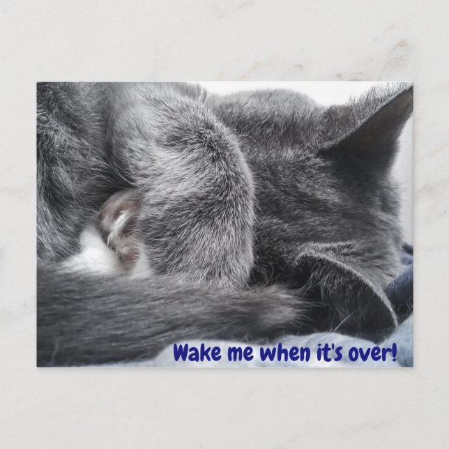 Aufgekurbelte Kitekarte Postkarte (Vorderseite)