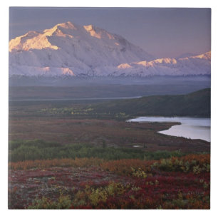 Aufgenommen Anfang September im Denali-Nationalpar Fliese
