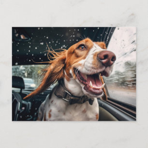 Aufgeregter Hund auf Rainy Car Ride Art Print Postkarte