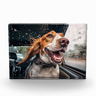 Aufgeregter Hund auf regnerischer Autofahrt Kunstp Fotoblock