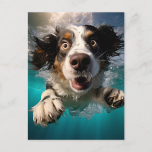 Aufgeregter Hund Schwimmt Unterwasser Design Postkarte