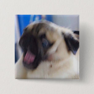 aufgeregtes puggo Button