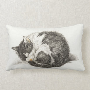 Niedliche Katzenbilder Geschenke Zazzle At