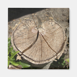 Aufgeteilte Herz-Stumpf-Magneten Magnet