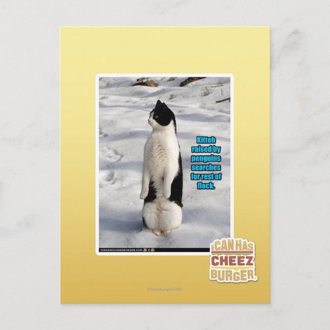 Aufgewachsen von Pinguinen Postkarte (Vorderseite)