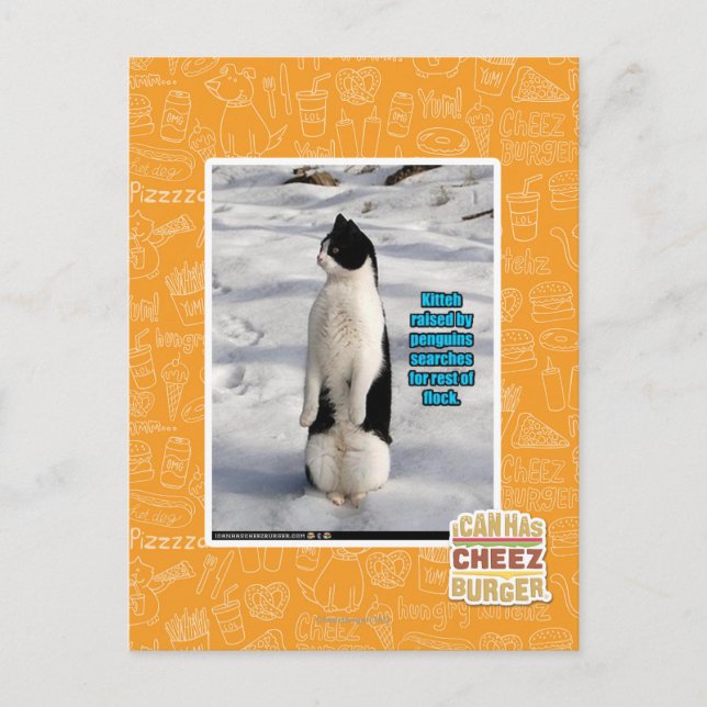 Aufgewachsen von Pinguinen Postkarte (Vorderseite)