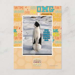 Aufgewachsen von Pinguinen Postkarte