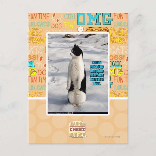 Aufgewachsen von Pinguinen Postkarte (Vorderseite)