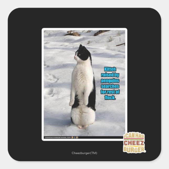 Aufgewachsen von Pinguinen Quadratischer Aufkleber (Vorderseite)