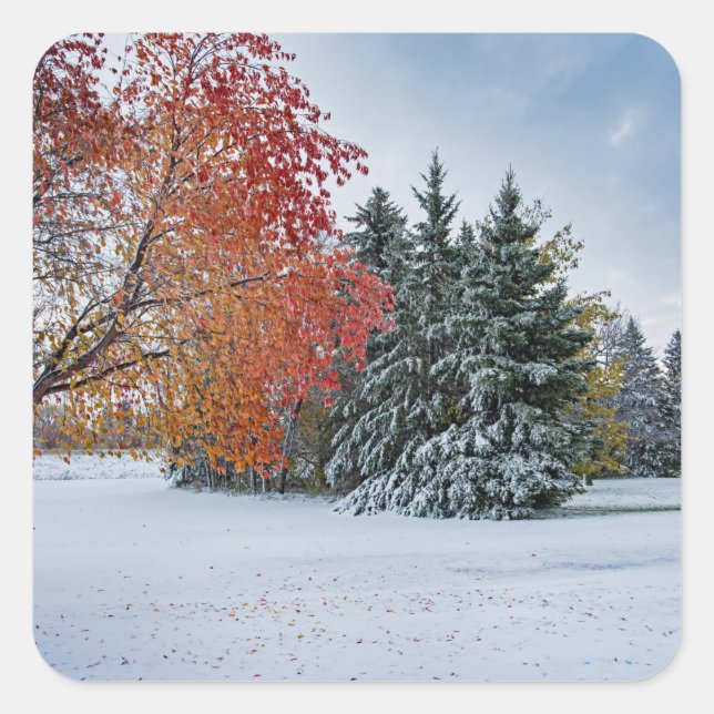 Aufkleber (Vorderseite)