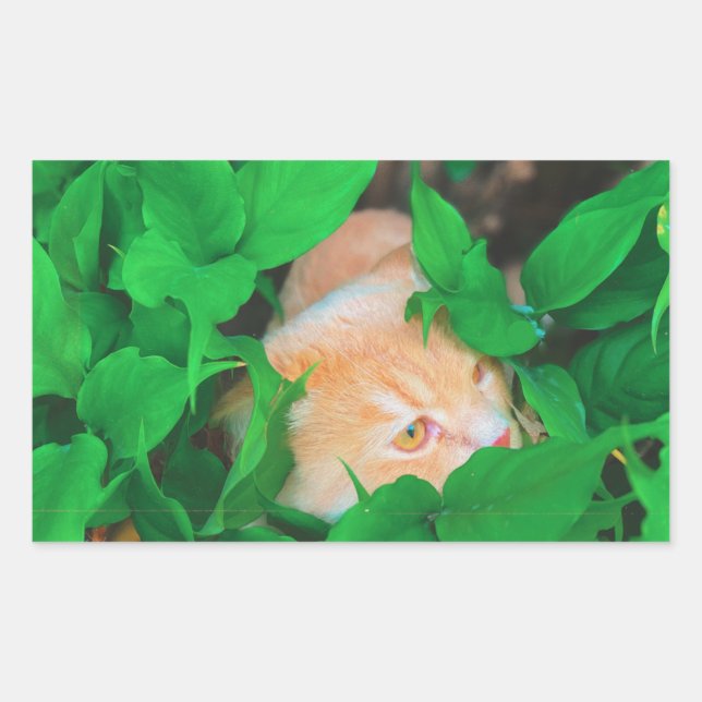 Aufkleber (Vorderseite)