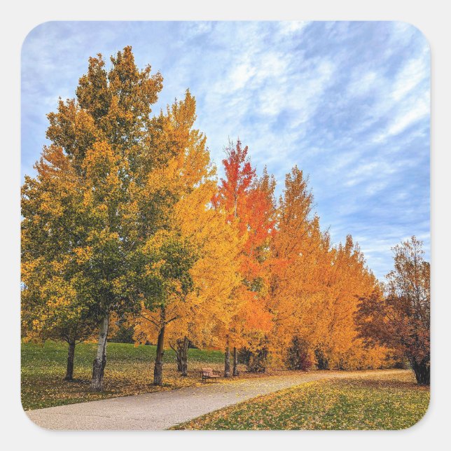 Aufkleber (Vorderseite)