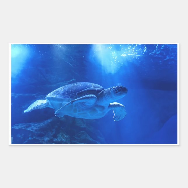 Aufkleber (Vorderseite)