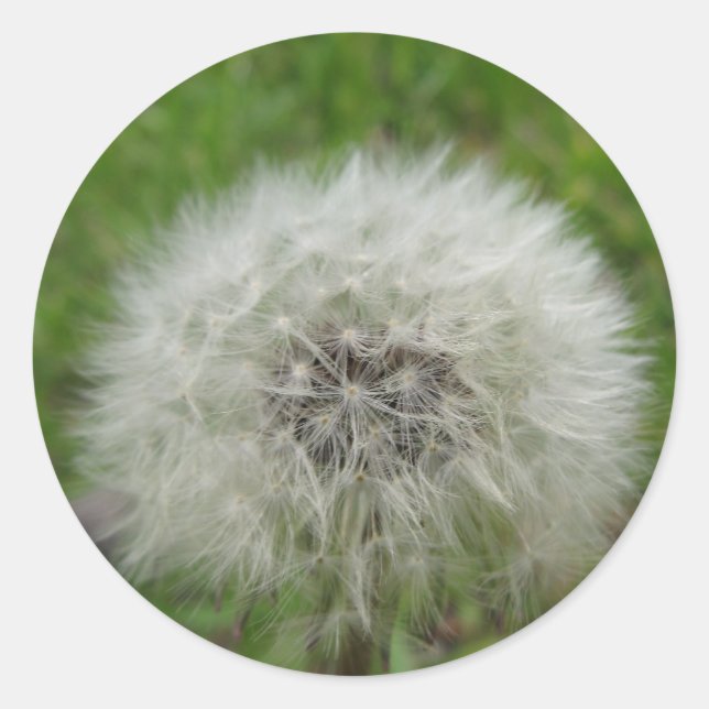 Aufkleber (Vorderseite)