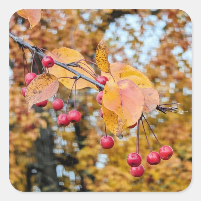 Aufkleber (Vorderseite)