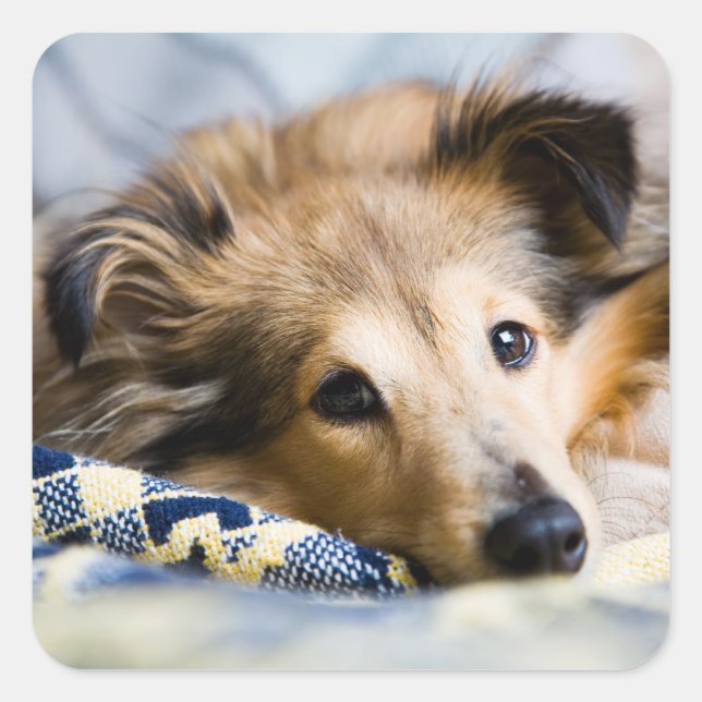 Aufkleber (Vorderseite)