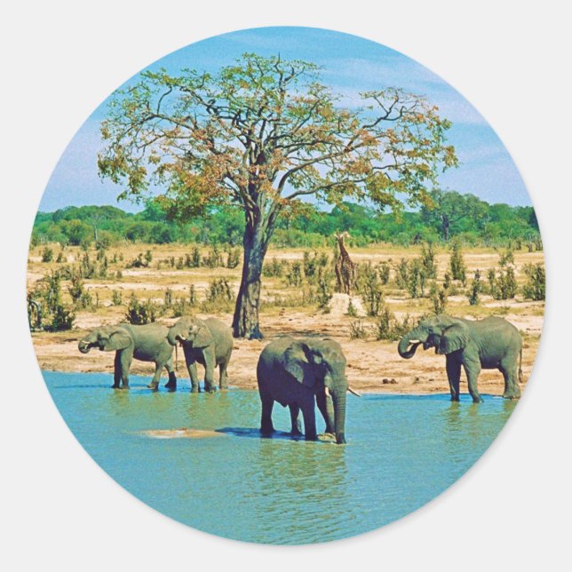 Aufkleber (Vorderseite)