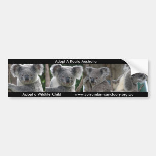 Aufkleber Adoptiere ein Koala Australien Autoaufkleber