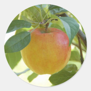 Aufkleber Apples Prima