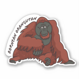 Aufkleber "Bornean Orangutan"