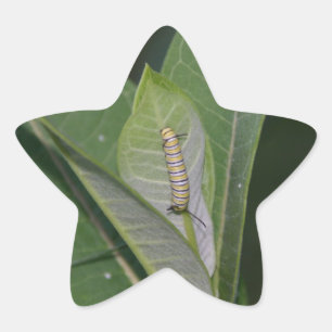 Aufkleber der Raupe