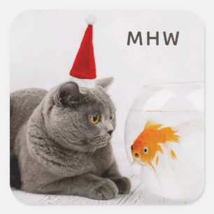 Aufkleber des lustigen Monogramms der Katze u. der