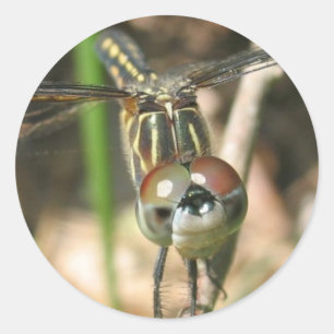 Aufkleber "Dragonfly Smile"