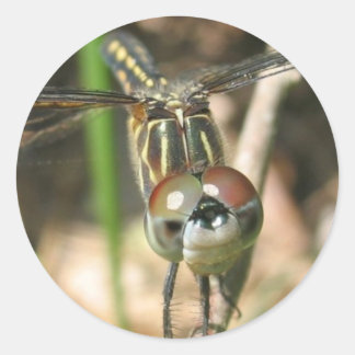 Aufkleber "Dragonfly Smile"