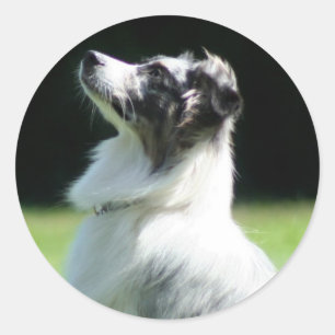 Aufkleber für australische Schafe