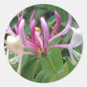 Aufkleber für Blume