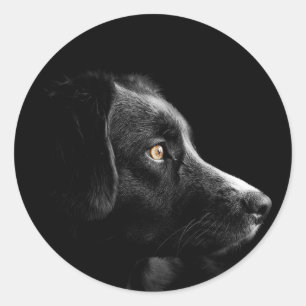 Aufkleber für das schwarze Labrador