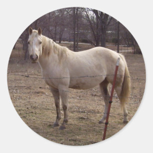 Aufkleber für das weiße Pferd