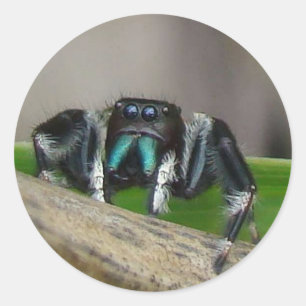 Aufkleber für den Jack springen