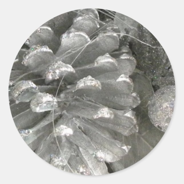 Aufkleber für den Silberkiefer (Vorderseite)