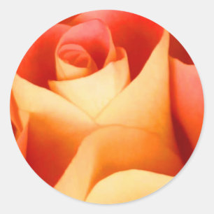 Aufkleber für den Umschlag Aufkleber Peach-Rose