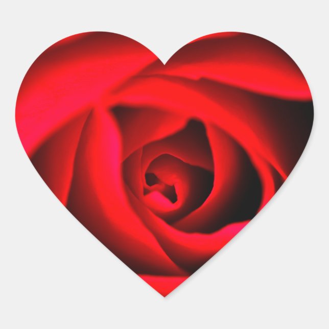 Aufkleber für die Blume der rote Rose (Vorderseite)
