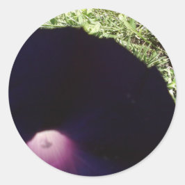 Aufkleber für die Blume des lila Morgens